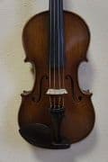 Vijole violes-4.jpg