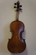 Vijole violes-5.jpg